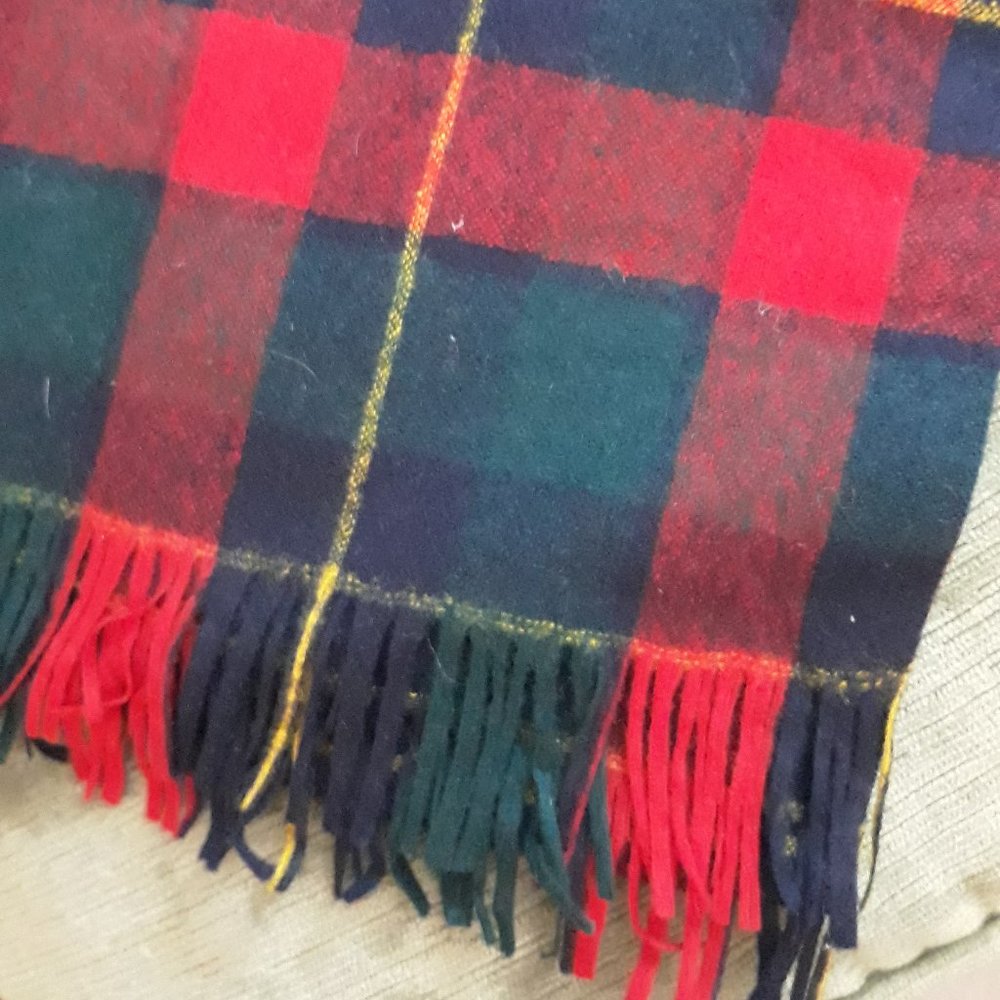 Pendleton Classic Red Plaid Scarf - image 1